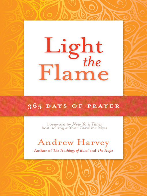 Title details for Light the Flame by Andrew Harvey - Wait list